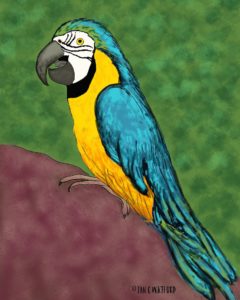 Parrot-Prompt-Realism-#52Week-Illustration-Challenge