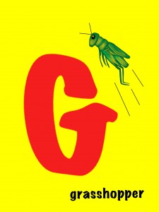 ABC-Insects-G