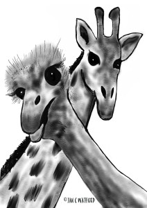 Giraffe&Ostrich