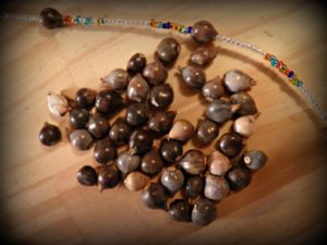 corn-beads