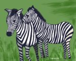 two-zebras-illustration